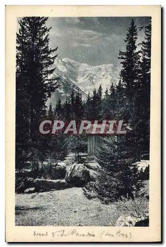 Cartes postales Chamonix Le Bois du Paradis et le Mont Blanc