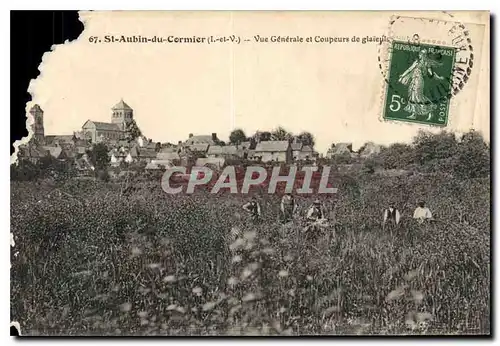 Cartes postales St Aubin du Cornier L et V Vue Generale et Coupeurs de glaieuls