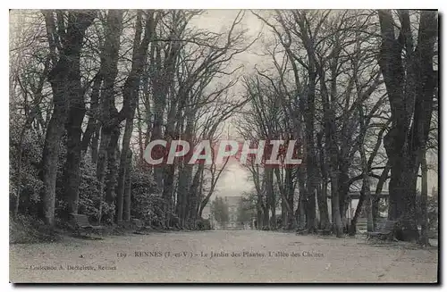 Cartes postales Rennes Le Jardin des Plantes L'allee des Chenes