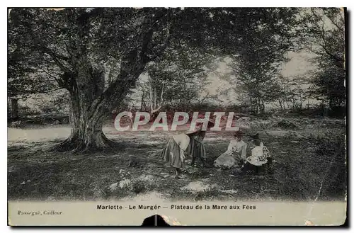 Cartes postales Marlotte Le Murger Plateau de la Mare aux Fees