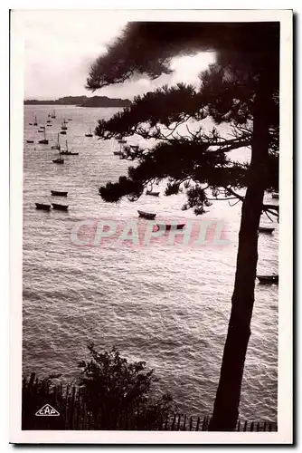 Cartes postales Cancale Contre jour