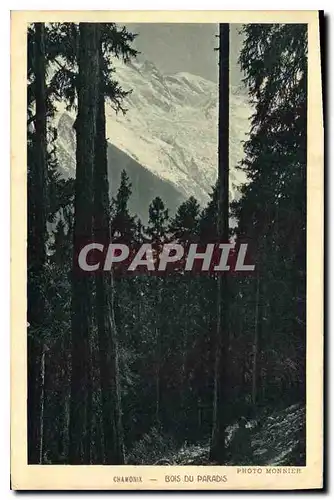 Cartes postales Chamonix Bois du Paradis