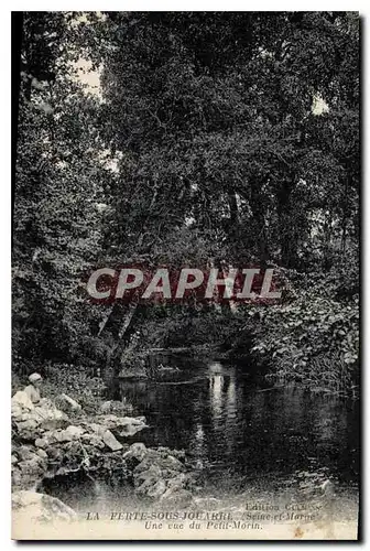 Cartes postales La Ferte sous Jouarre Une vue du Petit Morin