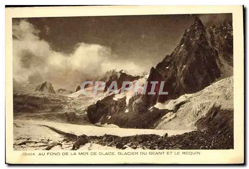 Cartes postales Au fond de la Mer de Glace Glacier du Geant et le Requin