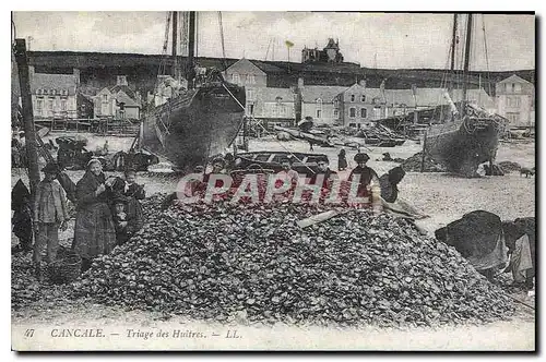 REPRO Cancale Triage des Huitres