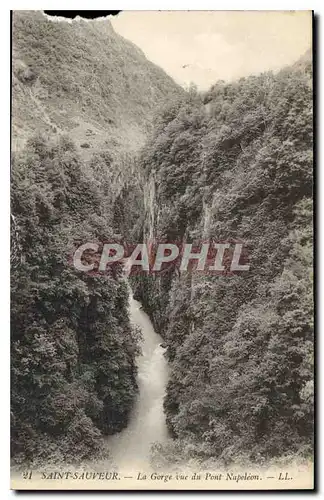 Cartes postales Saint Sauveur La Gorge vue du Pont Napoleon