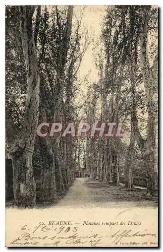 Cartes postales Beaune Platanes rempart las Dames