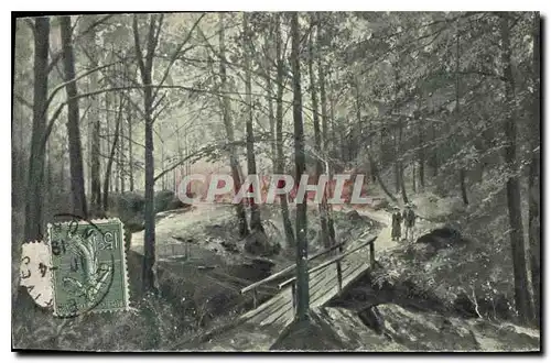 Cartes postales Foret