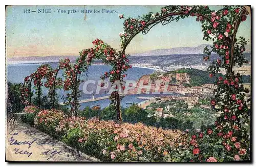 Cartes postales Nice Vue prise entre les Fleurs