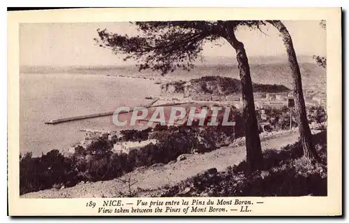 Cartes postales Nice Vue prise entre les Pins du Mont Boron