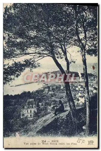 Cartes postales Nice Vue prise du Mont Boron entre les Pins