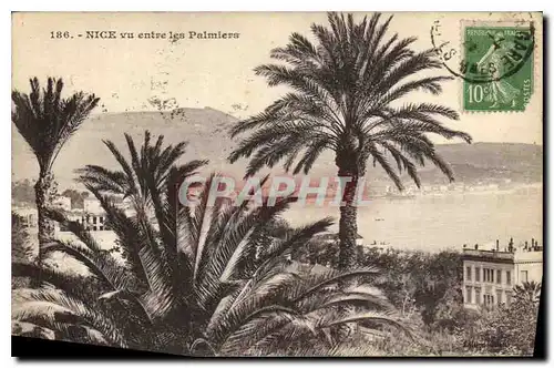 Cartes postales Nice vu entre les Palmiers