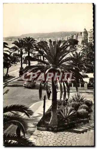 Cartes postales Nice AM La Promenade des Anglais et ses Palmiers