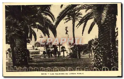 Cartes postales Nice Les Palmiers du Jardin Public