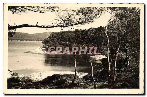 Cartes postales Porquerolles