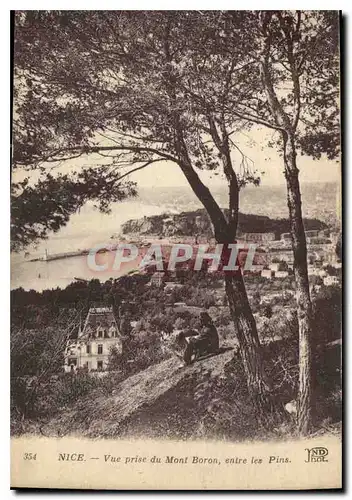 Cartes postales Nice Vue prise du Mont Boron entre les Pins