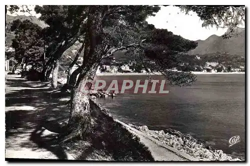 Ansichtskarte AK Menton La promenade du Cap Martin