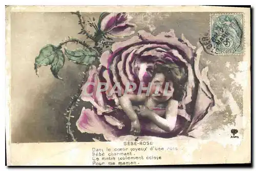 Cartes postales Bebe Rose Fleurs