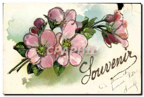 Cartes postales Fleurs