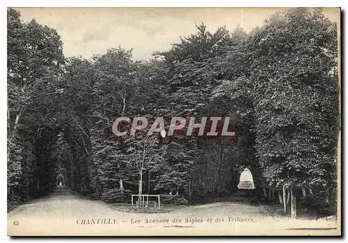 Cartes postales Chantilly Les Avenues des Aigles et des Tribunes