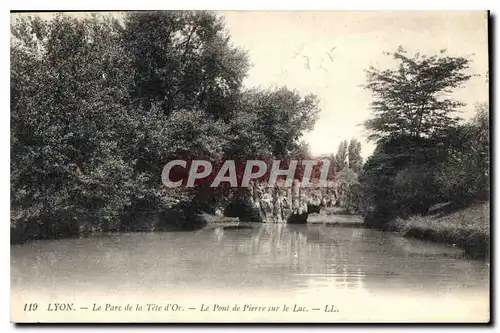 Ansichtskarte AK Lyon Le Parc de la Tete d'Or Le Pont de Pierre sur le Lac