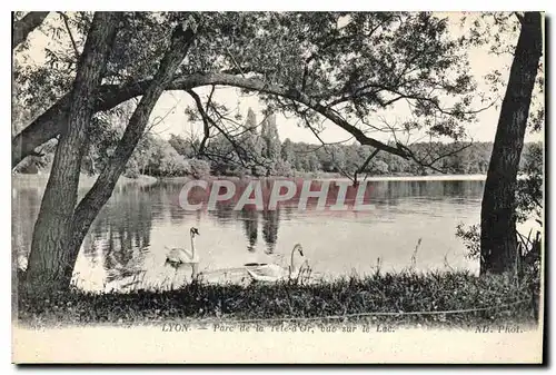 Cartes postales Lyon Parc de la Tete d'Or Vue sur le Lac