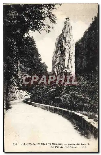 Cartes postales La Grande Chartreuse Route du Desert Le Pic de l'Celette