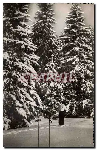 Cartes postales Le Haut Jura en Hiver