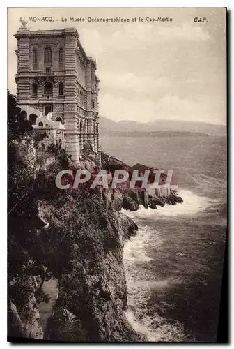 Cartes postales Monaco Le Musee Oceanographique et le Cap Martin