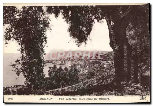 Cartes postales Menton Vue generale prise entre les oliviers