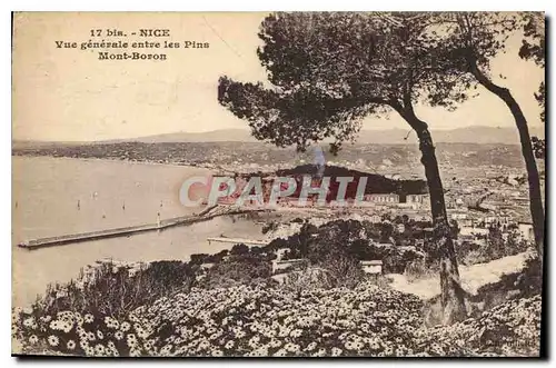 Cartes postales Nice Vue generale entre les Pins Mont Boron