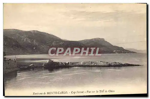 Cartes postales Environs de Monte Carlo Cap Ferrat Vue sur la Tete de Chien