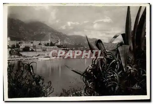 Cartes postales Monaco Vue sur Monte Carlo