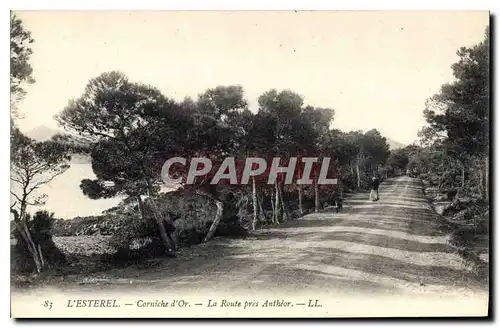 Cartes postales L'Esterel Corniche d'Or La Route pres Antheor