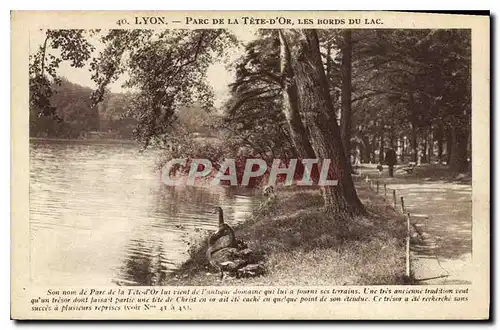 Ansichtskarte AK Lyon Parc de la Tete d'Or Les Bords du Lac