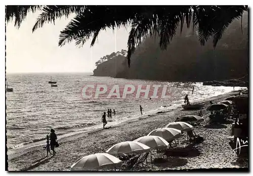 Ansichtskarte AK Cote d'Azur Contre jour sur la Plage