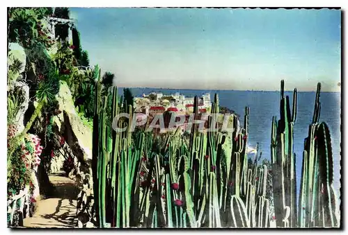 Cartes postales Jardin Exotique de Monaco Vue sur Monaco