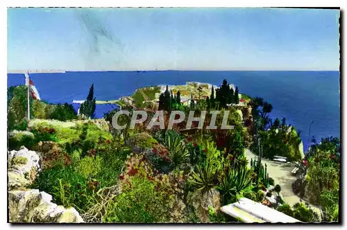 Cartes postales Jardin Exotique de Monaco Le plateau superieur