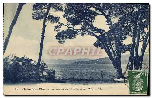 Cartes postales Juan les Pins Vue sur la Mer a travers les Pins