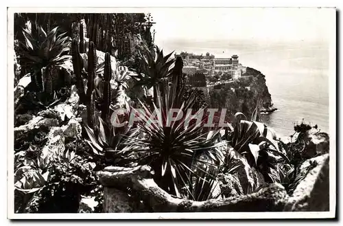 Cartes postales Monaco Les jardins Exotiques