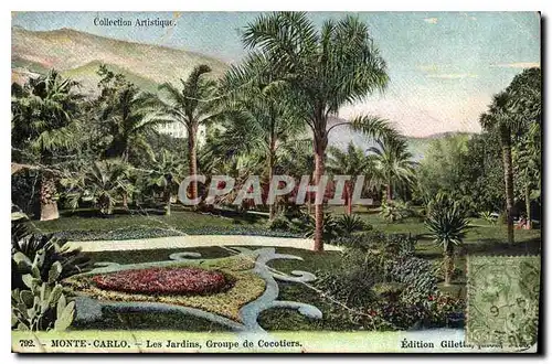 Cartes postales Monte Carlo Les Jardins Groupe de Cocotiers