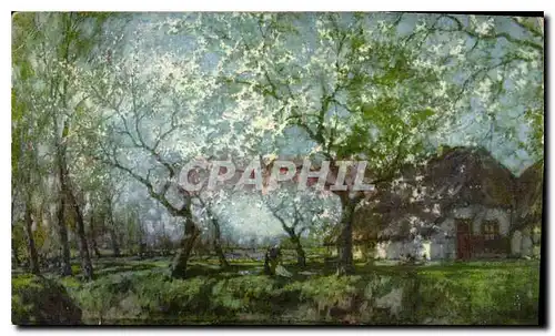 Cartes postales rbres