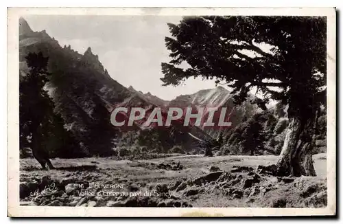 Cartes postales L'Auvergne Vallee d'Enter au pied du Sancy