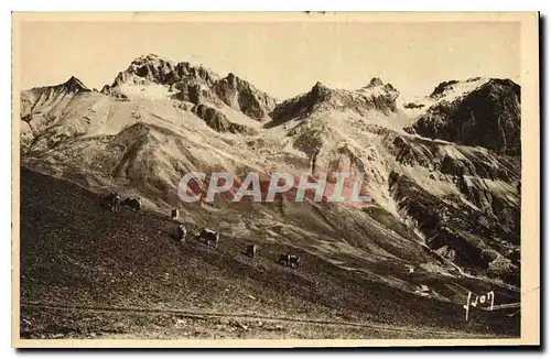 Cartes postales Col du Lauterat Troupeau au Paturage Massif du Galibier
