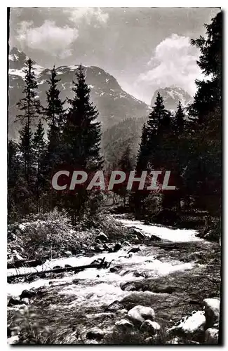 Cartes postales Paysages Alpestres Le Torrent