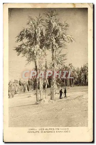 Cartes postales Les Alpes en Hiver Groupe d'Arbres Euneiges