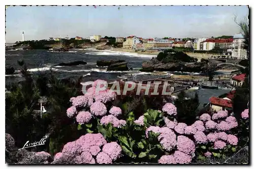 Ansichtskarte AK Biarritz Les Hortensias et vue generale sur le Rocher du Basta la plage et le Phare
