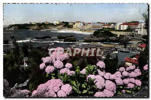 Cartes postales Biarritz Les Hortensias et vue generale sur le Rocher du Basta la plage et le Phare