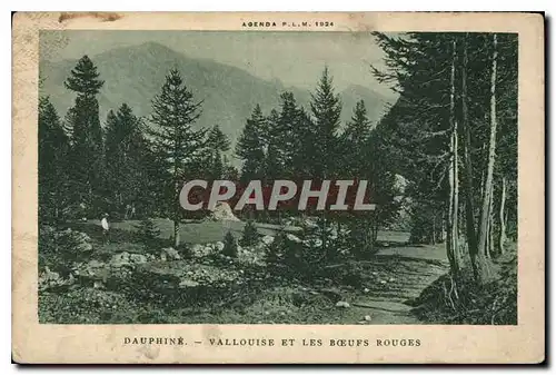 Cartes postales Dauphine Vallouise et les Boeufs Ronges