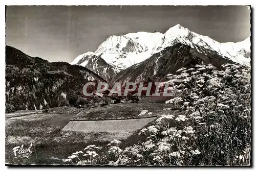 Cartes postales La Chaine du Mont Blanc en ete